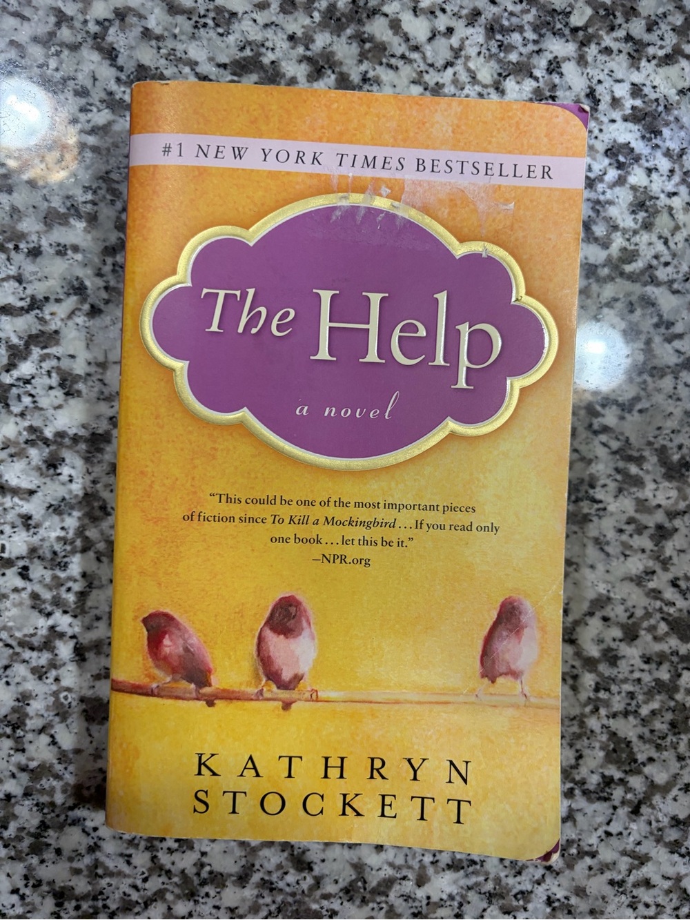 The Help by Kathryn Stockett - Paperback